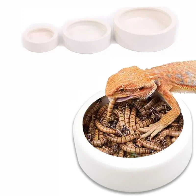 Pet Water Dispenser for Cats and Dogs Automatic Water Storage Pet Food Bowl Food Container with Waterer Pet Supplies