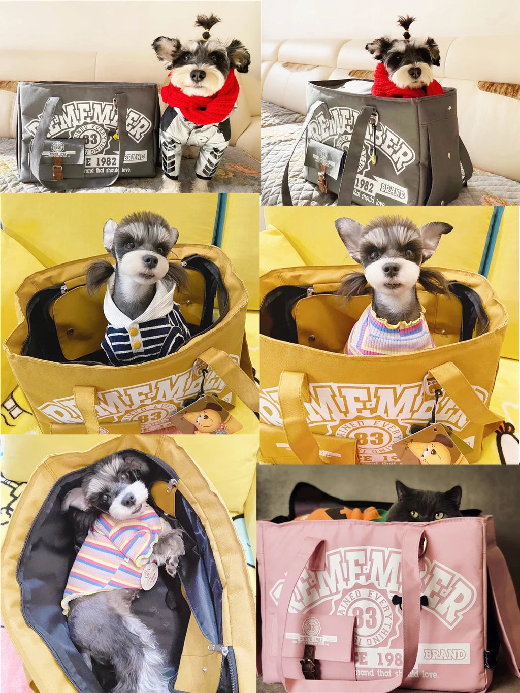 Free Ship RU ES FR Pet Carrier Dog 