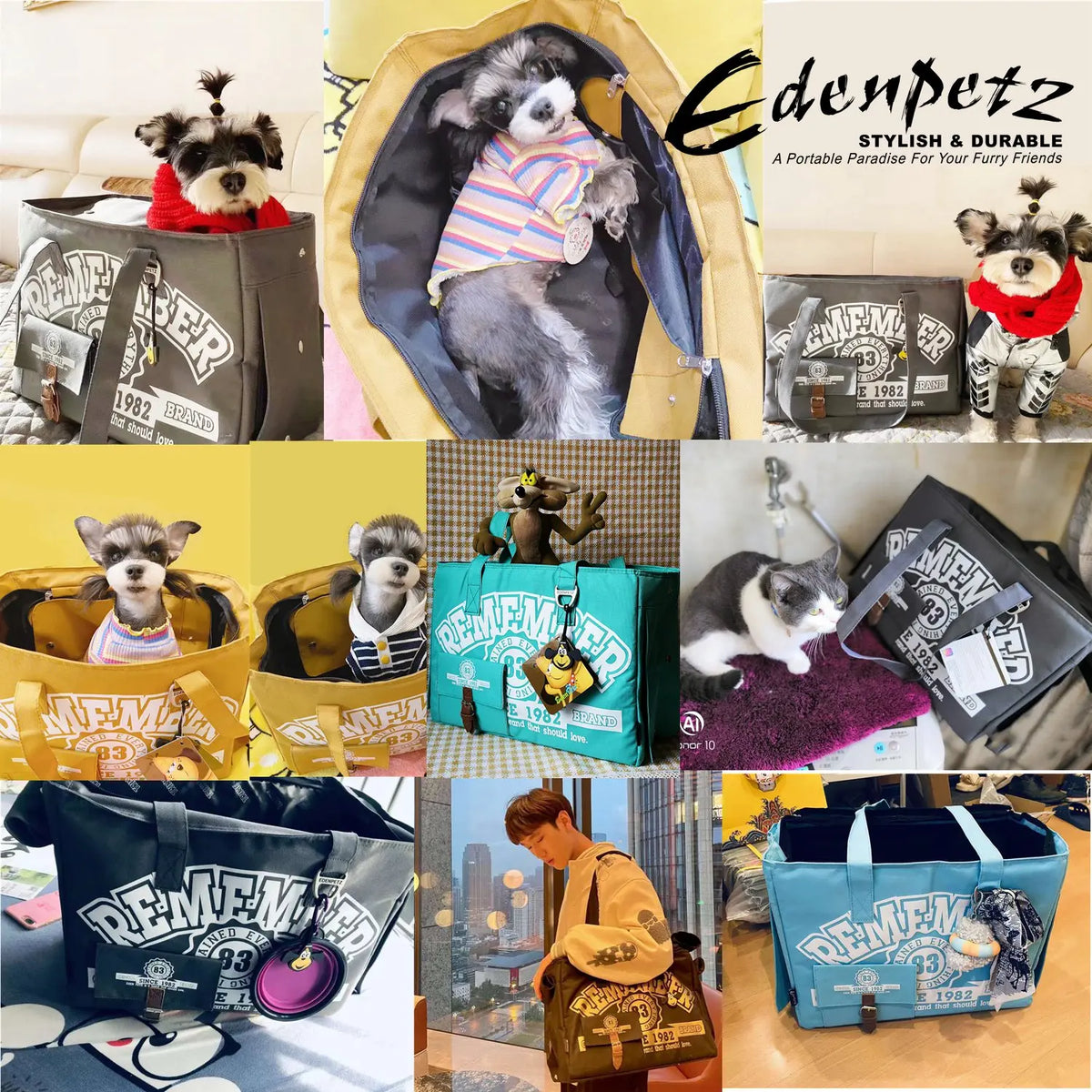 Free Ship RU ES FR Pet Carrier Dog 