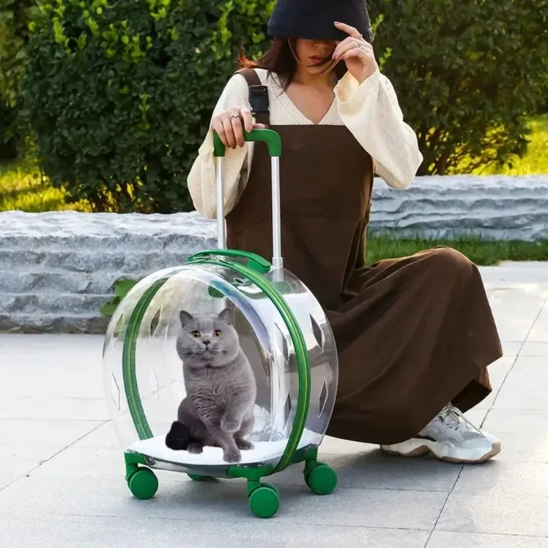 Puppy Move Trolley Cat Carriers Transparent