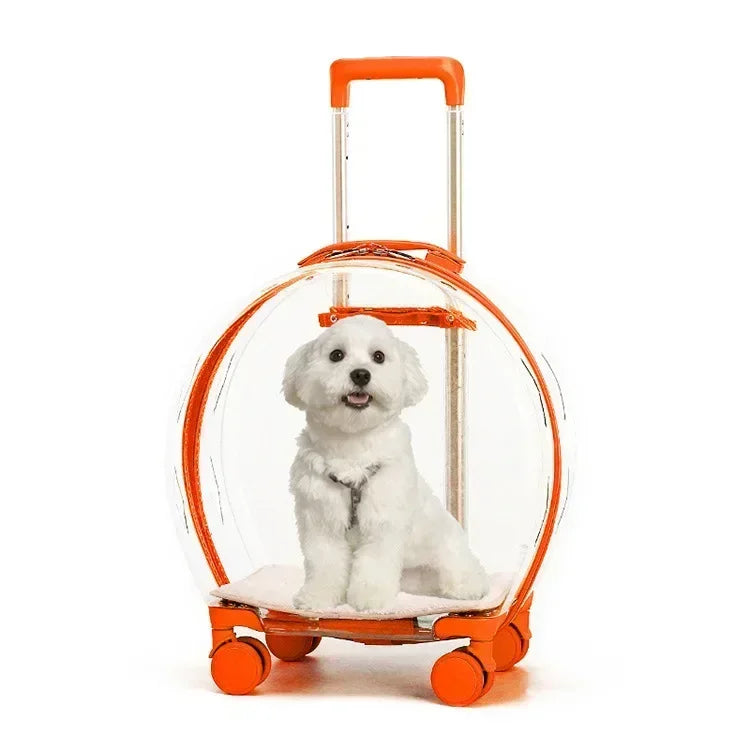 Puppy Move Trolley Cat Carriers Transparent