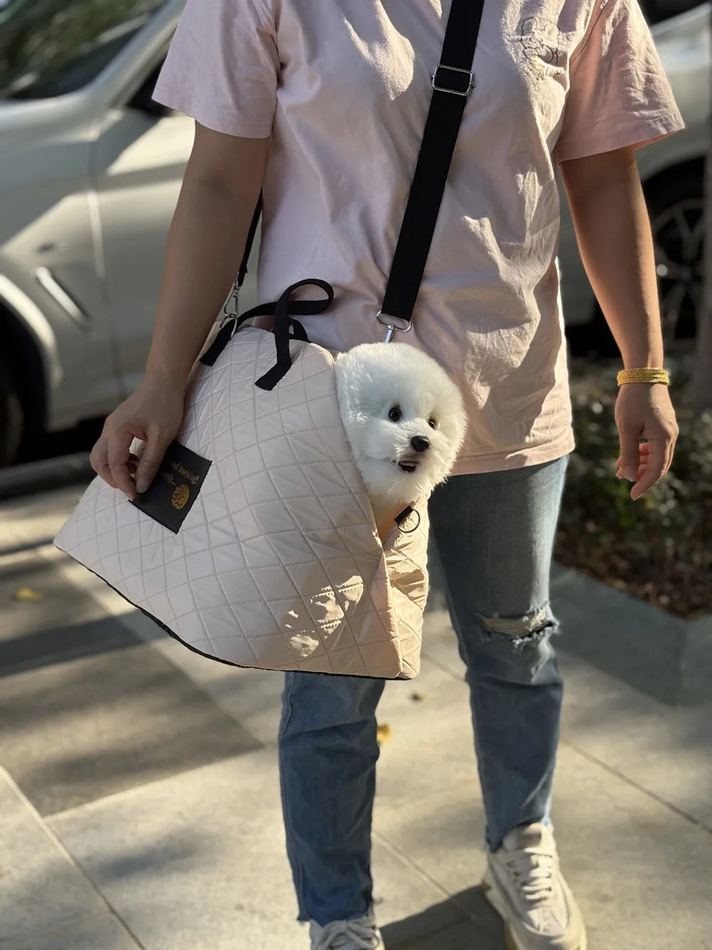 Car Seat Pet Protection Travel Carrier