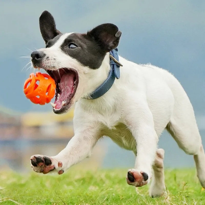 Pet Toys - Bite-resistant Chewing Balls