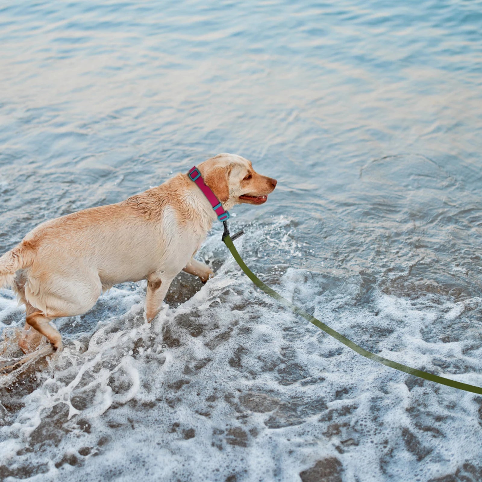 Football Textures Pet Supplies PVC Long Dog Leash Small Big Dogs Accessories Leash for Beagle Husky 3M 6M Pets Leads
