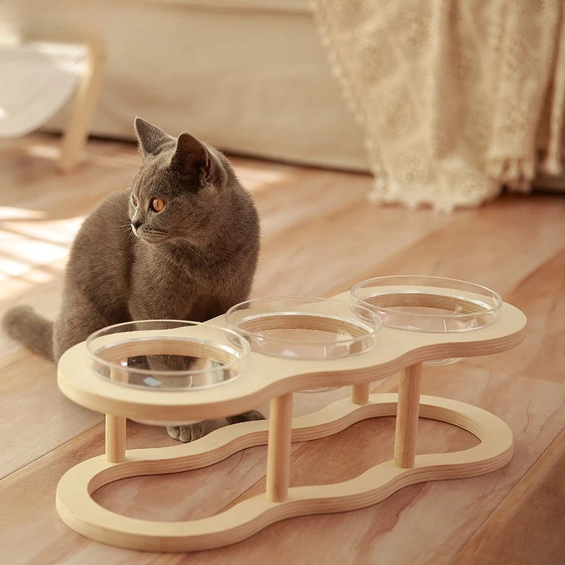 Pet Supplies Elevated Feeding Water Food 