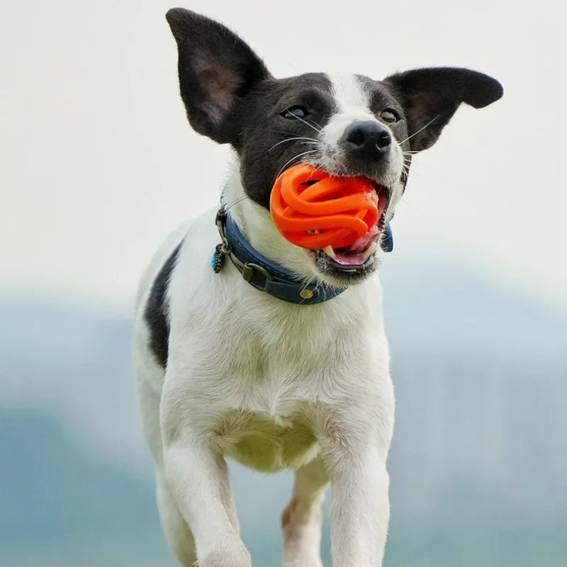 Pet Toys - Bite-resistant Chewing Balls