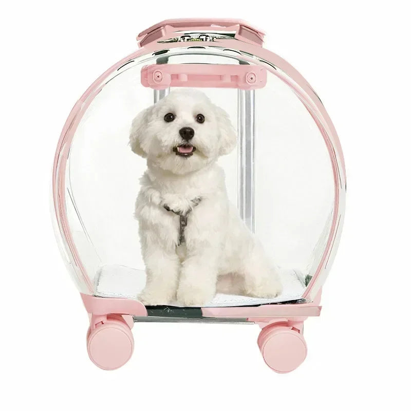 Puppy Move Trolley Cat Carriers Transparent