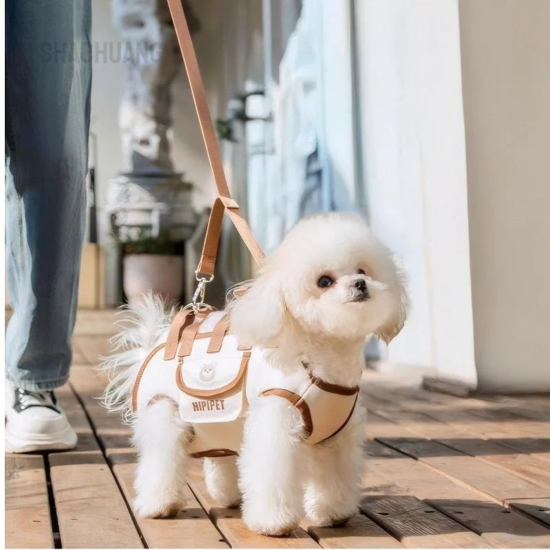 Portable Pet Carrier Bag for Cats Small
