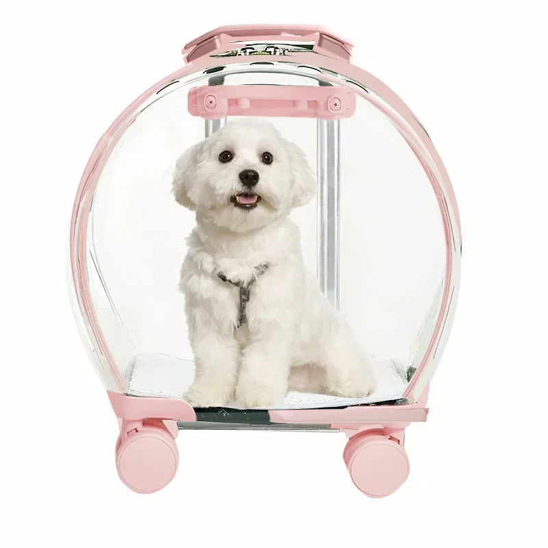 Puppy Move Trolley Cat Carriers Transparent