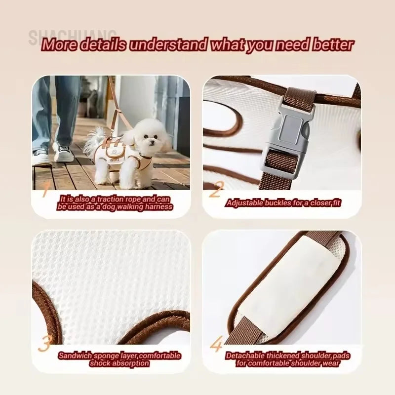 Portable Pet Carrier Bag for Cats Small