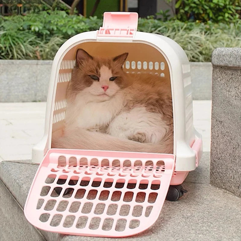 Portable Plastic Pet Carrier Durable