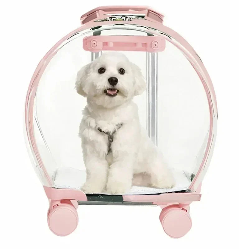 Puppy Move Trolley Cat Carriers Transparent